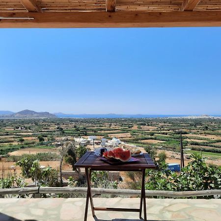 Janakos View Apartment With Private Pool Glinado Naxos Exterior photo