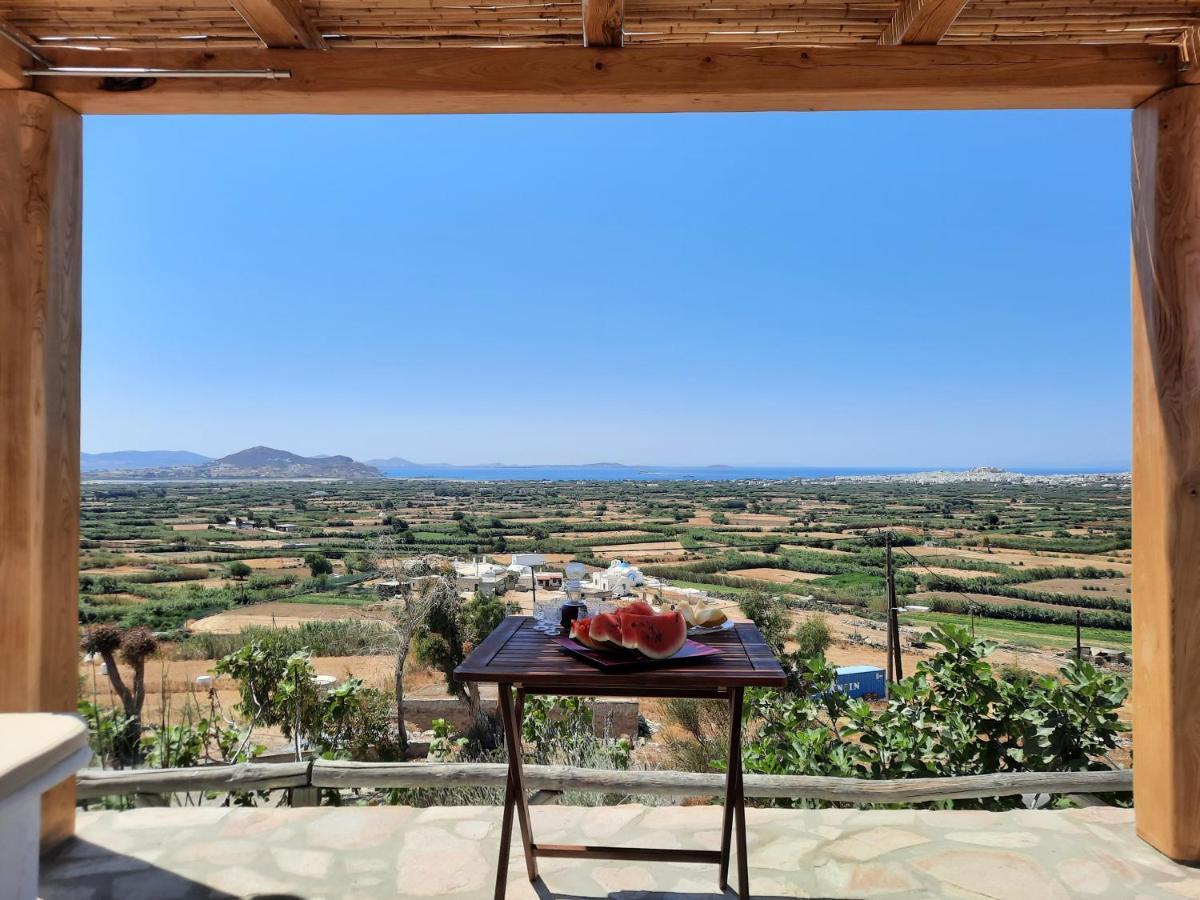 Janakos View Apartment With Private Pool Glinado Naxos Exterior photo