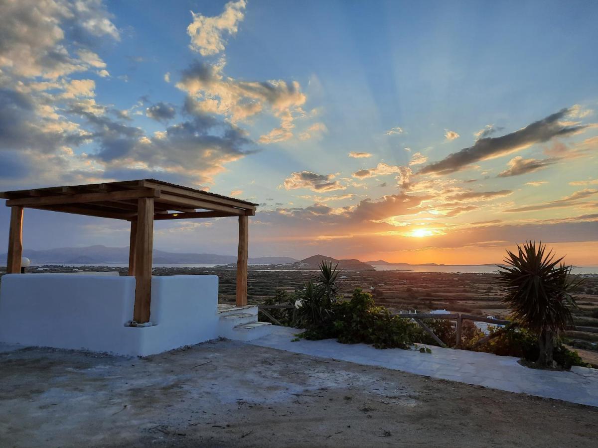 Janakos View Apartment With Private Pool Glinado Naxos Exterior photo