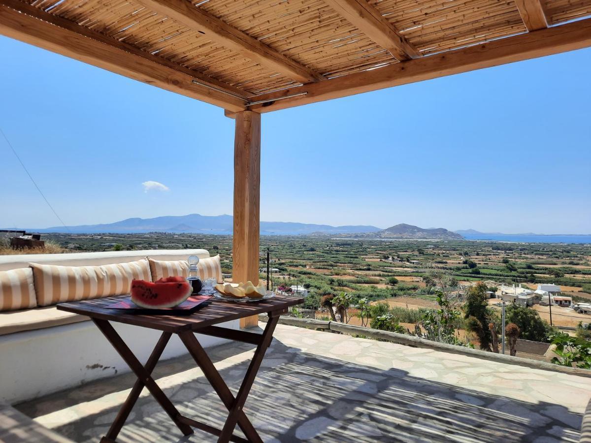 Janakos View Apartment With Private Pool Glinado Naxos Exterior photo