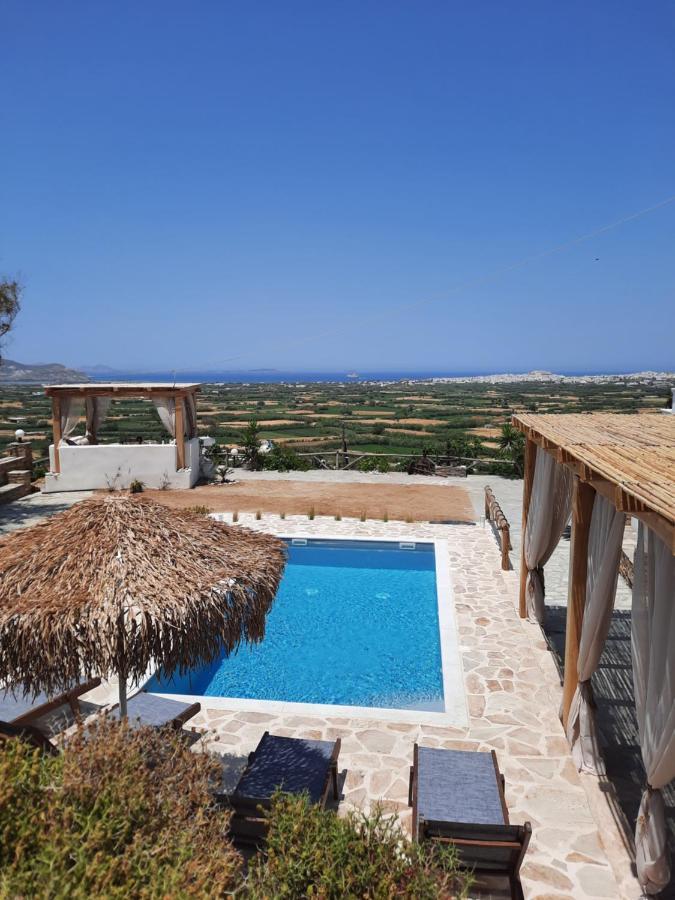 Janakos View Apartment With Private Pool Glinado Naxos Exterior photo