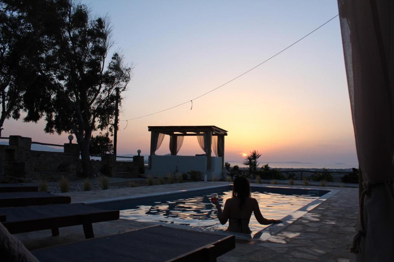 Janakos View Apartment With Private Pool Glinado Naxos Exterior photo