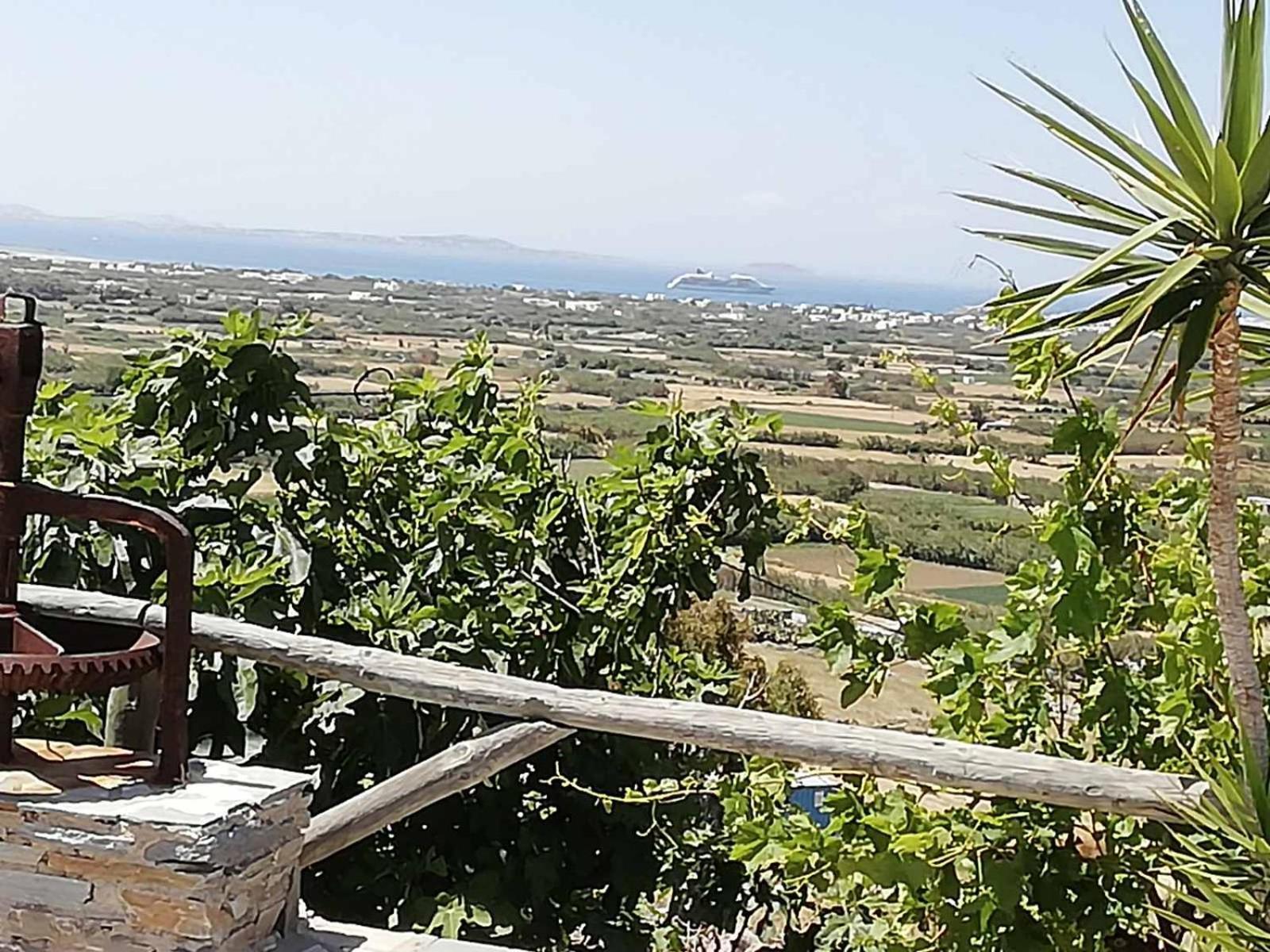 Janakos View Apartment With Private Pool Glinado Naxos Exterior photo